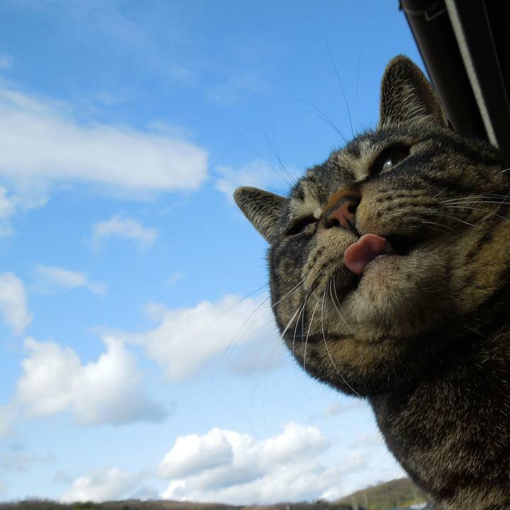 C4b9b942 148e 45d8 ab9b 17142d38aa50