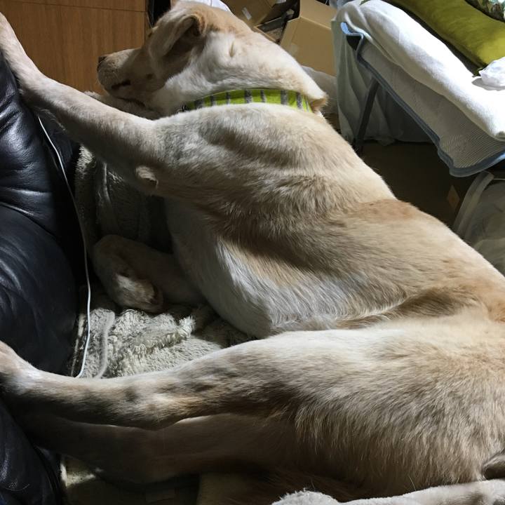 C4b9f402 ab1b 4bbc b448 9726c5e7708e