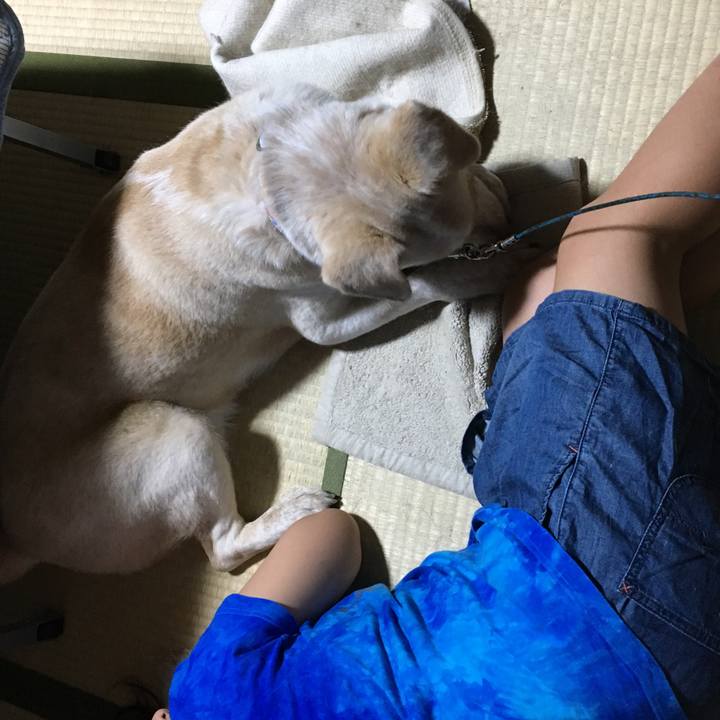 C4ba34bd 3695 4c1a bad2 28d879e68aef