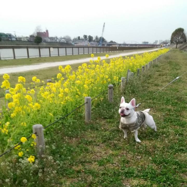 C4bb3102 78aa 4ec8 8157 da6cf0f5f44e