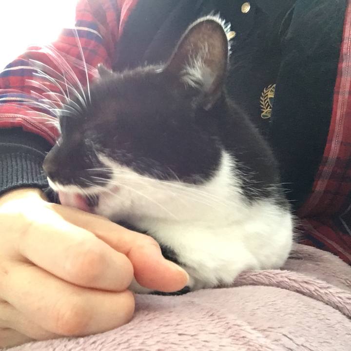 C4bb3ffe ebed 402e be8c 3e9f6c3a0bc9