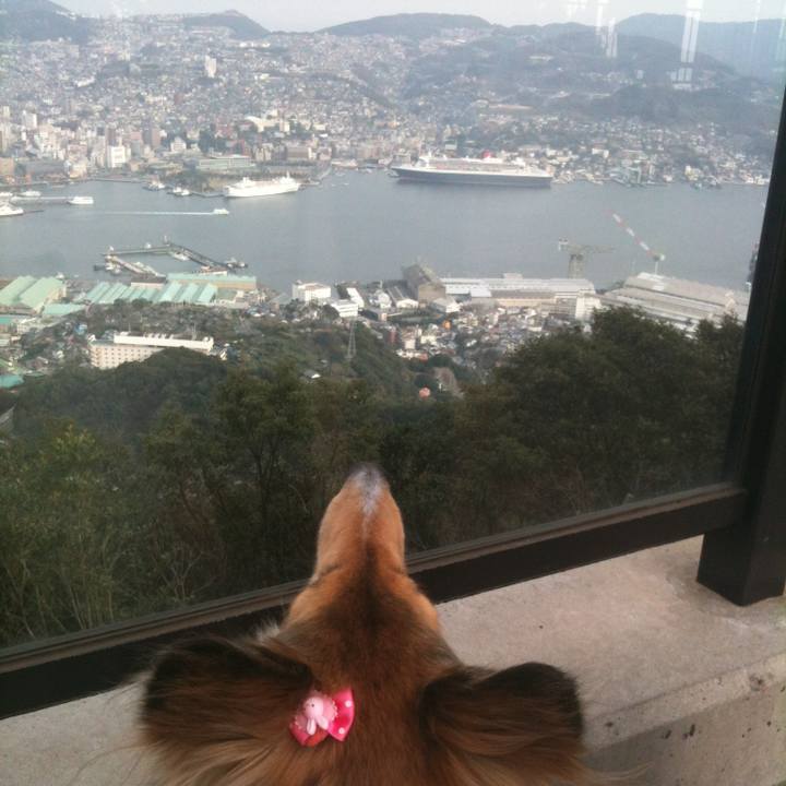 C4bbb74e 07e5 4033 94bc f9783d2a27ef