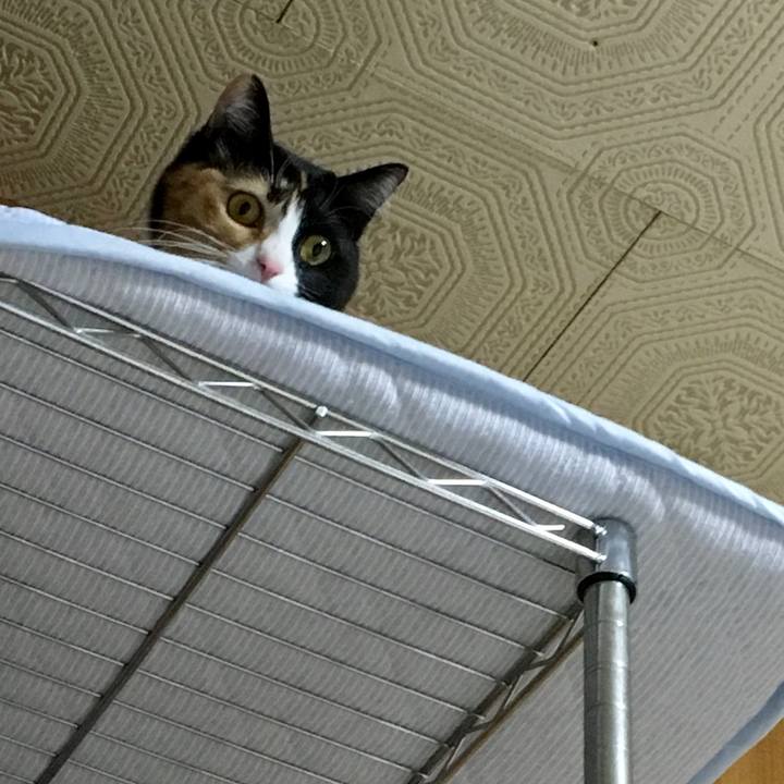 C4bbbf81 55ef 411f 903f d7dede9d2cf2