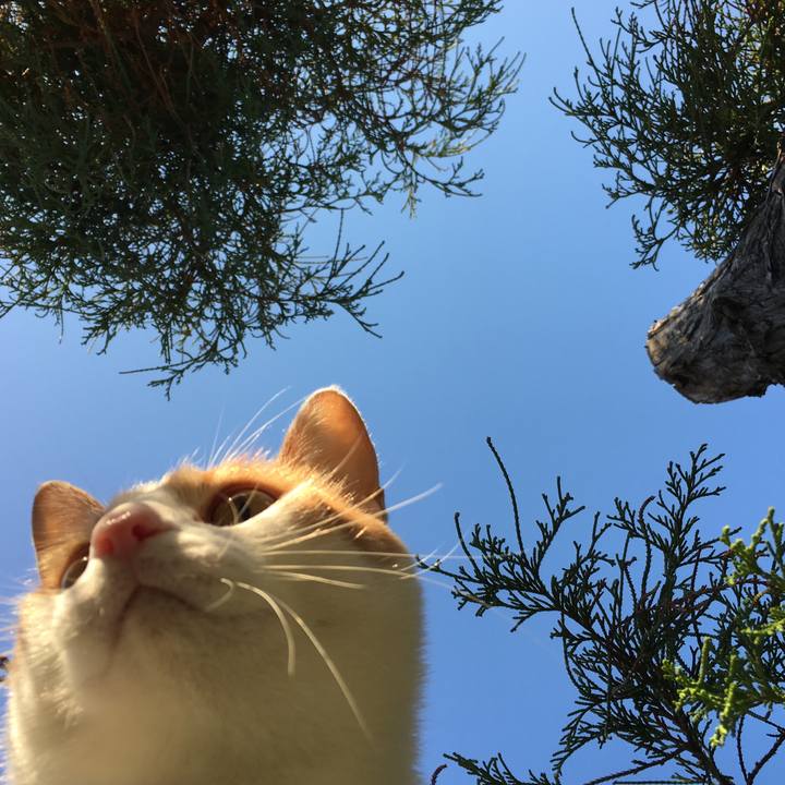 C4bbd5b8 e89c 4c22 a3ca d3b5bb5253e9