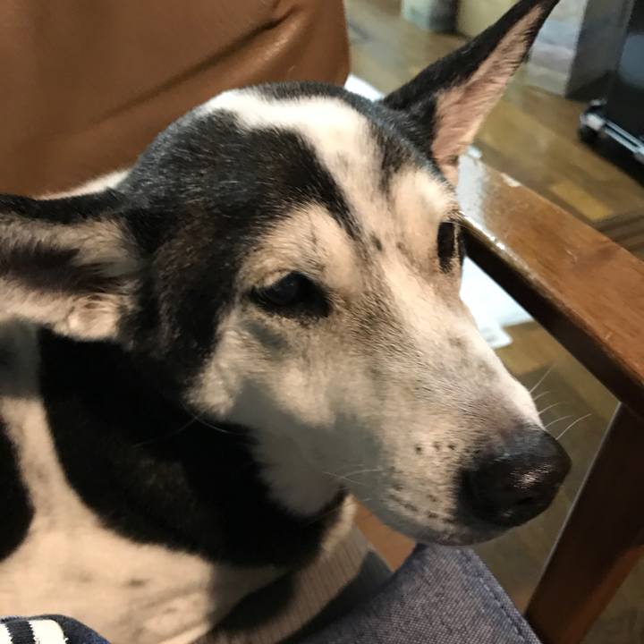 C4be17ae da9d 4b1d 8672 e68165a97b33