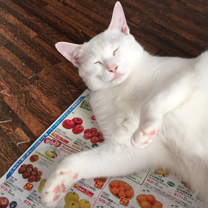 C4be487d b091 4b53 b585 62b9fd8913cd