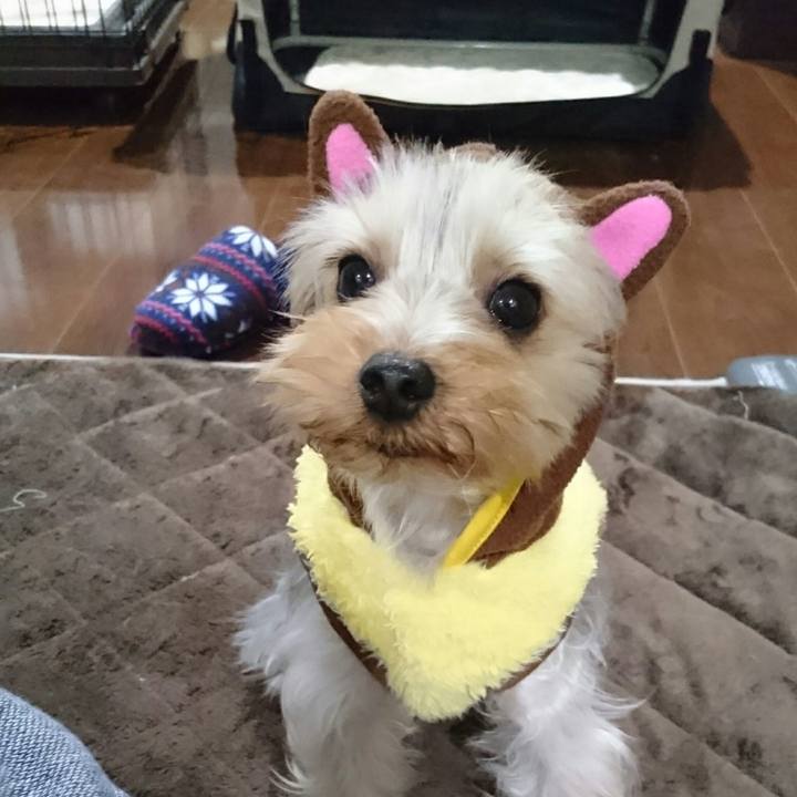 C4be77ec 6101 4f49 b8a4 2bc87bb86949