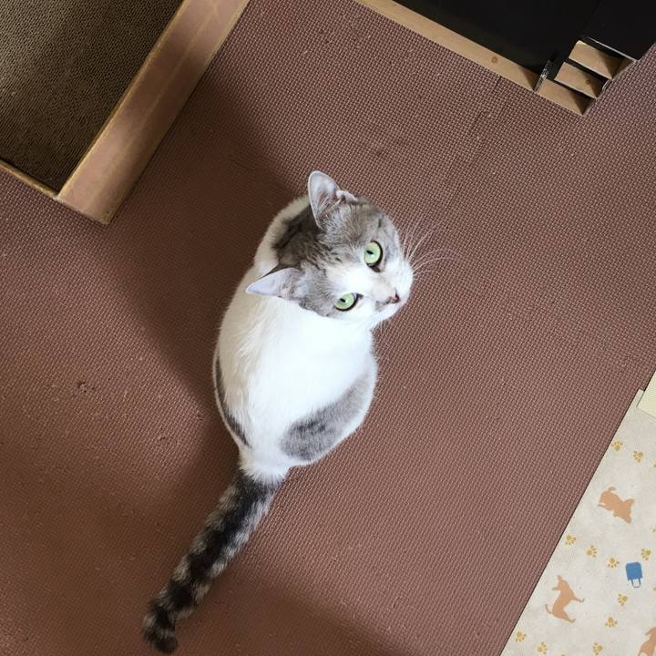 C4be8642 bf42 496c baff 593e4bfbff70