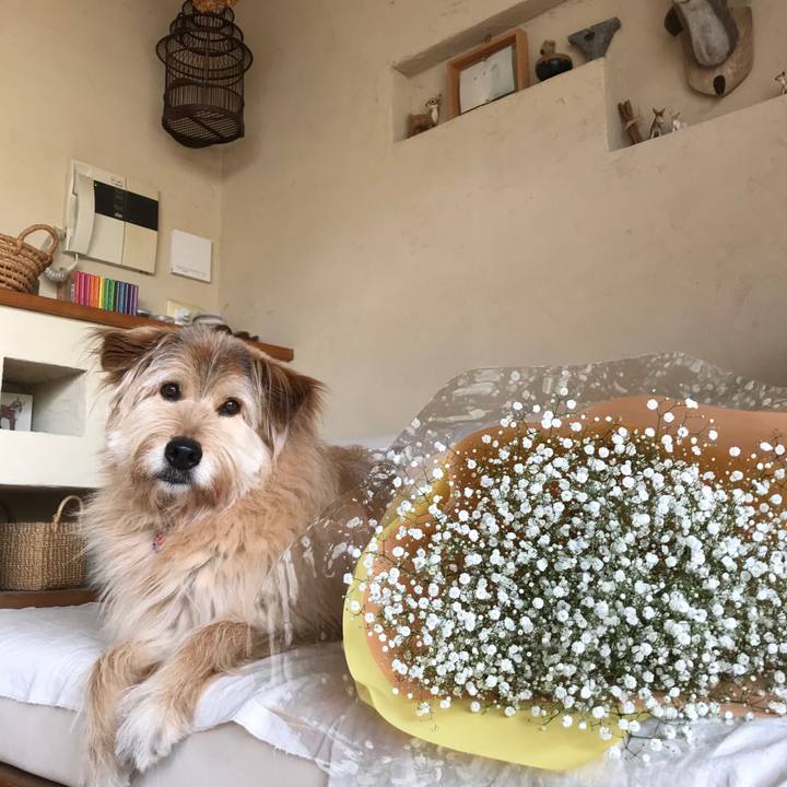 C4be86b5 c8ca 4a12 9a20 251c13997dab