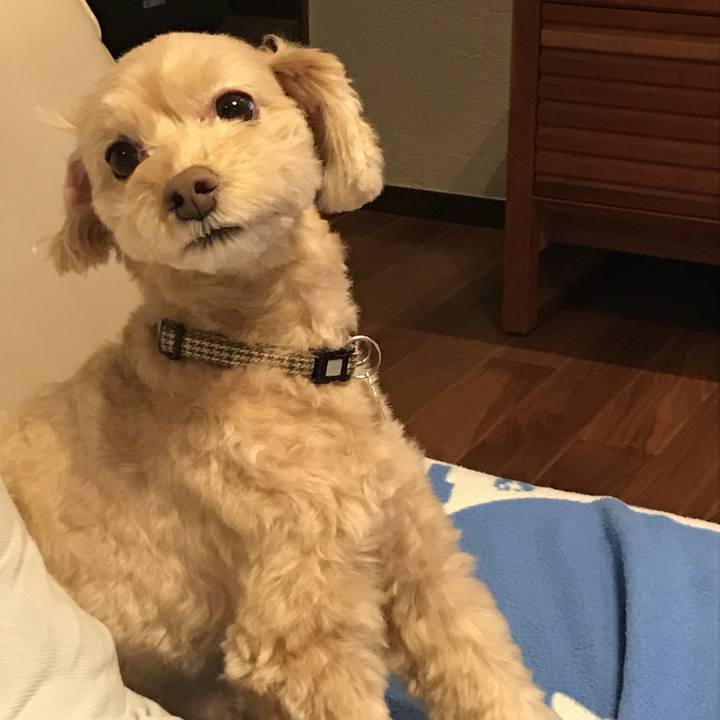 C4bf6855 7bbb 4bf4 980e e28e6a42fd7f