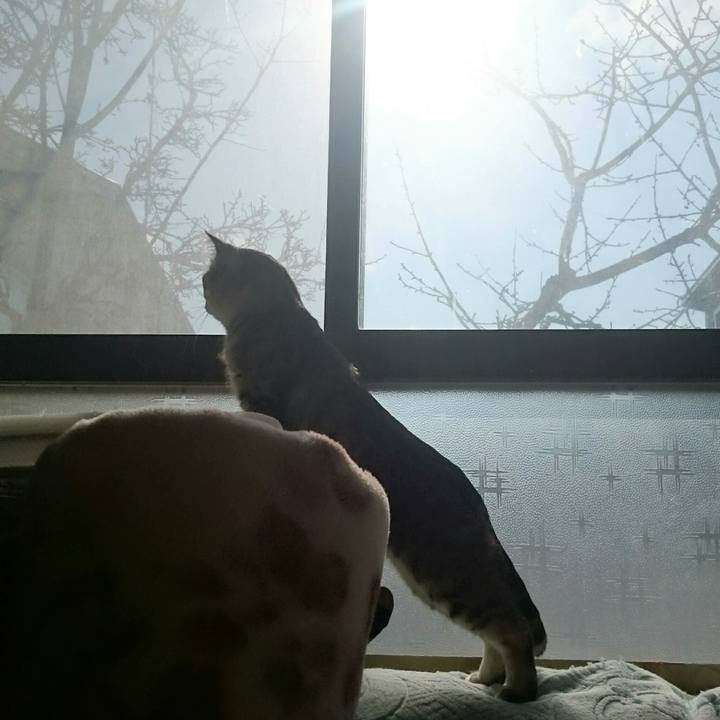 C4bfac90 2732 4215 91c7 bf08f7292f67