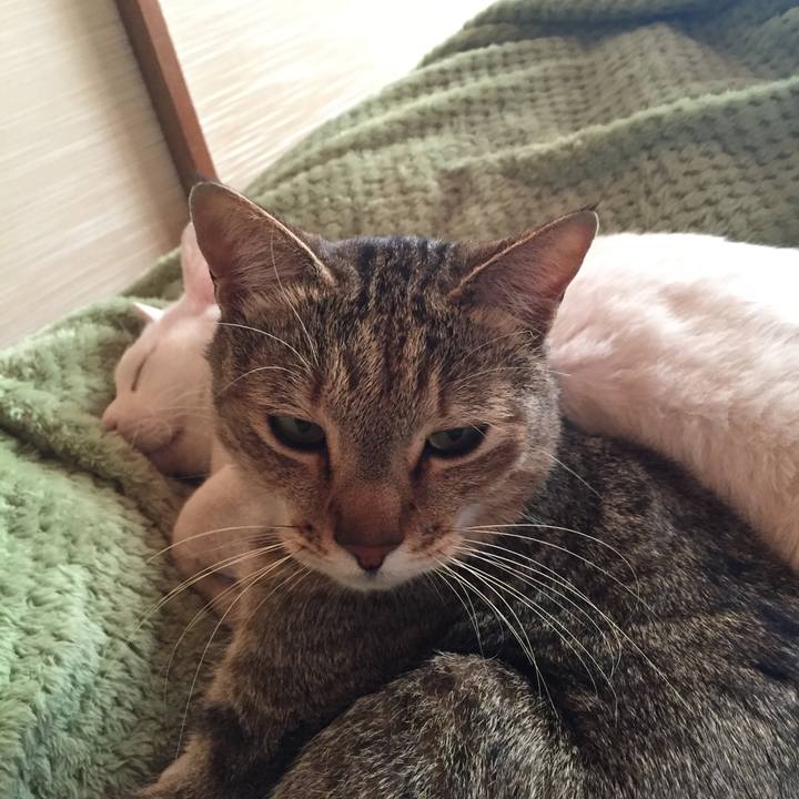 C4c0122e 06ad 4659 9ac7 f0cc59e2cfd5