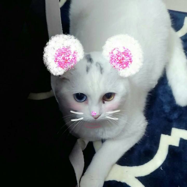 C4c112c7 d895 4aa5 8045 0c5479de4109