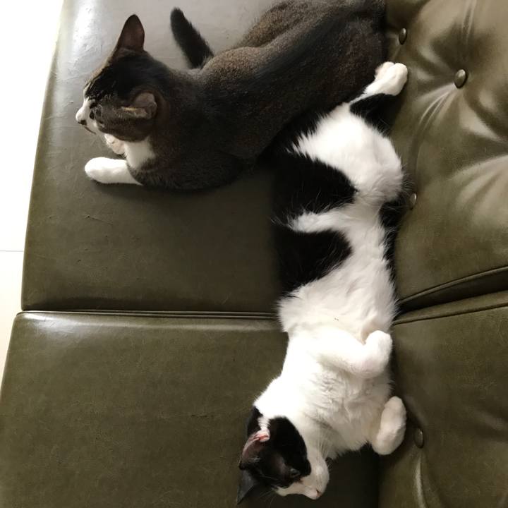 C4c13f54 1295 4f75 99b2 b1e4c6b9b2cd