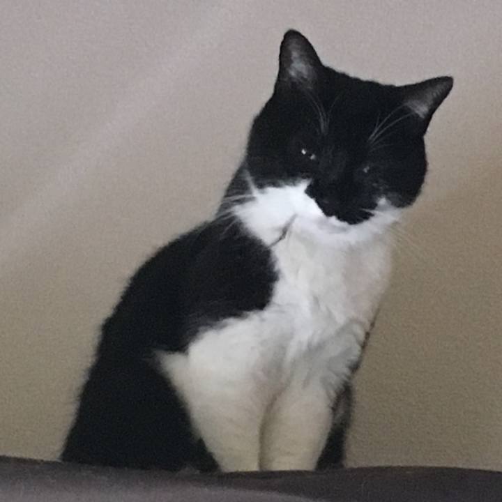 C4c1aea7 3354 4f0c 8ed7 406958930aca