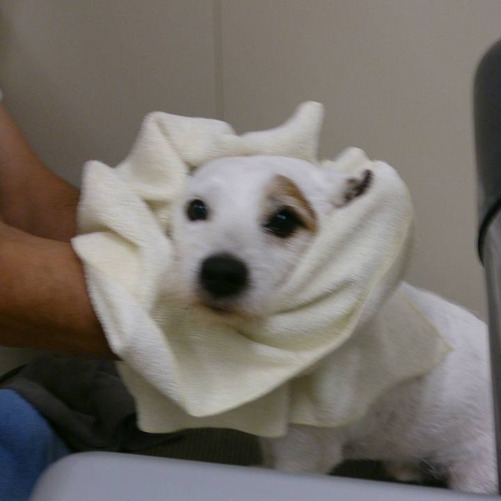 C4c1b832 b1d9 4760 961c 9640b8a70cfb