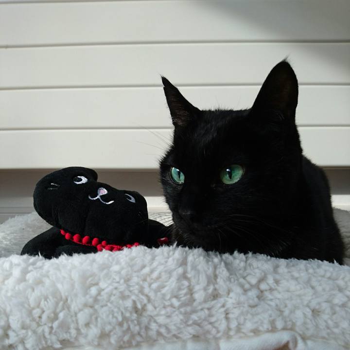 C4c22545 66b6 414c 92f2 6b79172b6e67