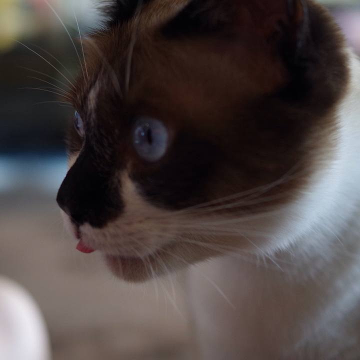 C4c31c4c 0115 4428 bc02 7d9d16173b11