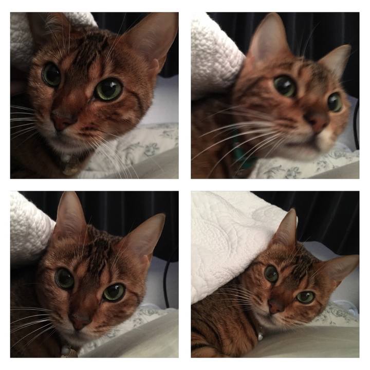 C4c397ca 5ae8 4f39 bef9 5c97337b44b7