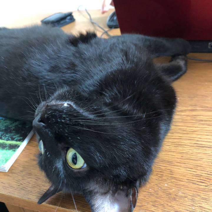 C4c45507 379f 45e1 b238 f513e3138fc8