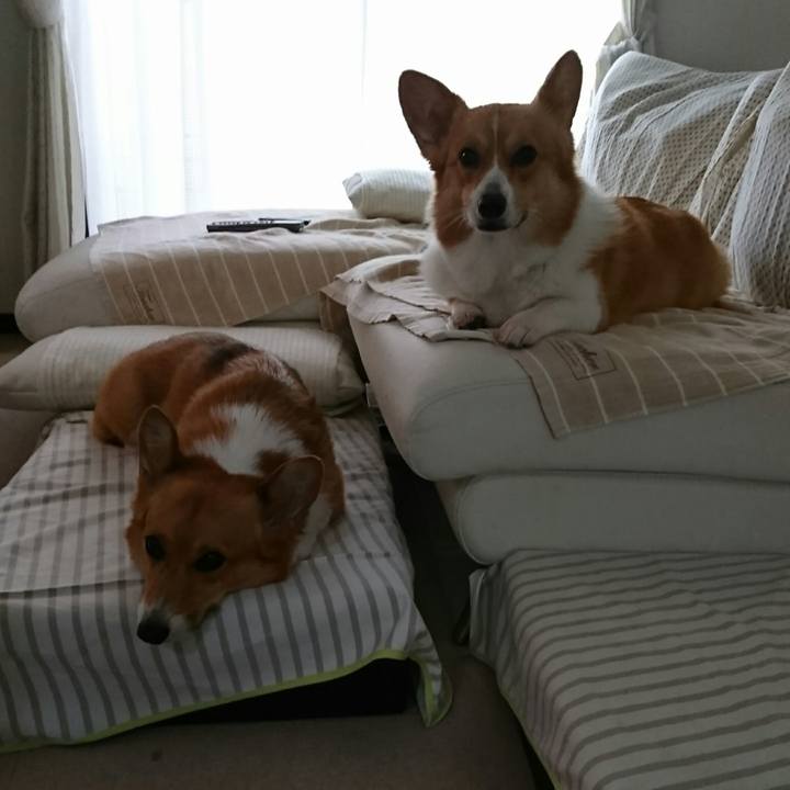 C4c46093 def2 480d a953 62410103e8db