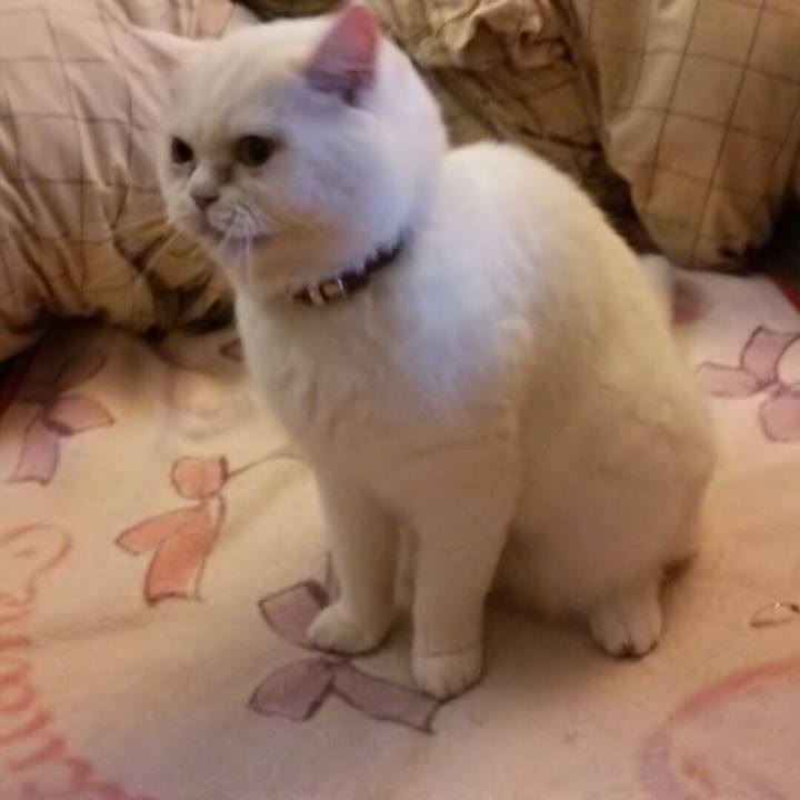 C4c479af 5905 440a bf1f e98359abdd0a