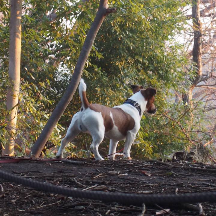 C4c4f5ee 8090 44d2 a006 ae1b397a2fd4