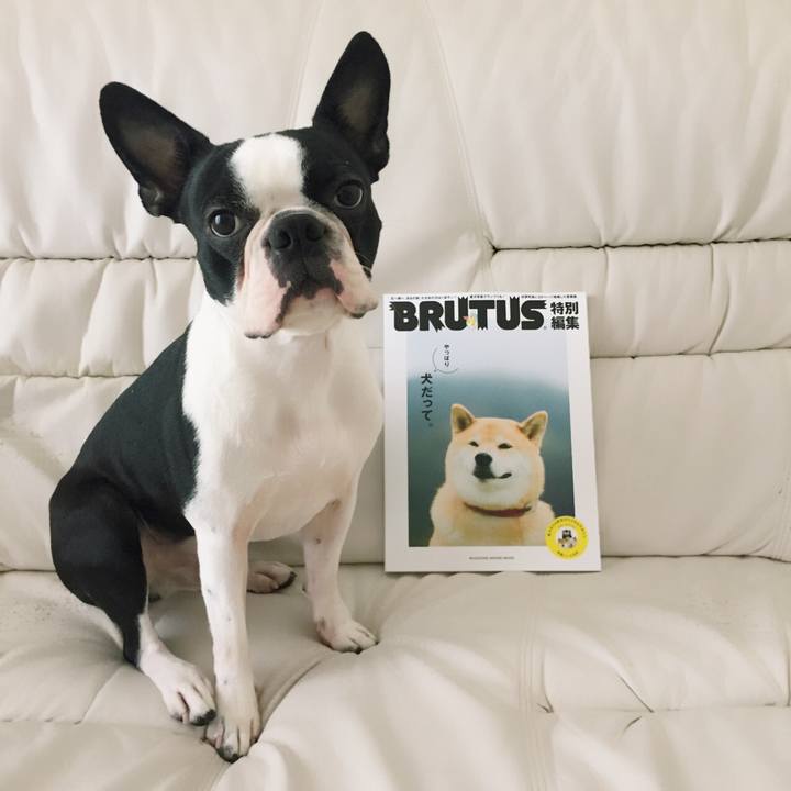 C4c4fa5f 167d 4930 92fd a40f79de9e32