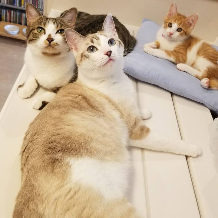 C4c56267 a09b 4786 a71d da92bd3b5910