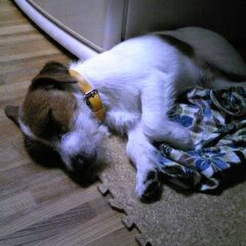 C4c5901e e99c 41ff a46c ae045f521f73