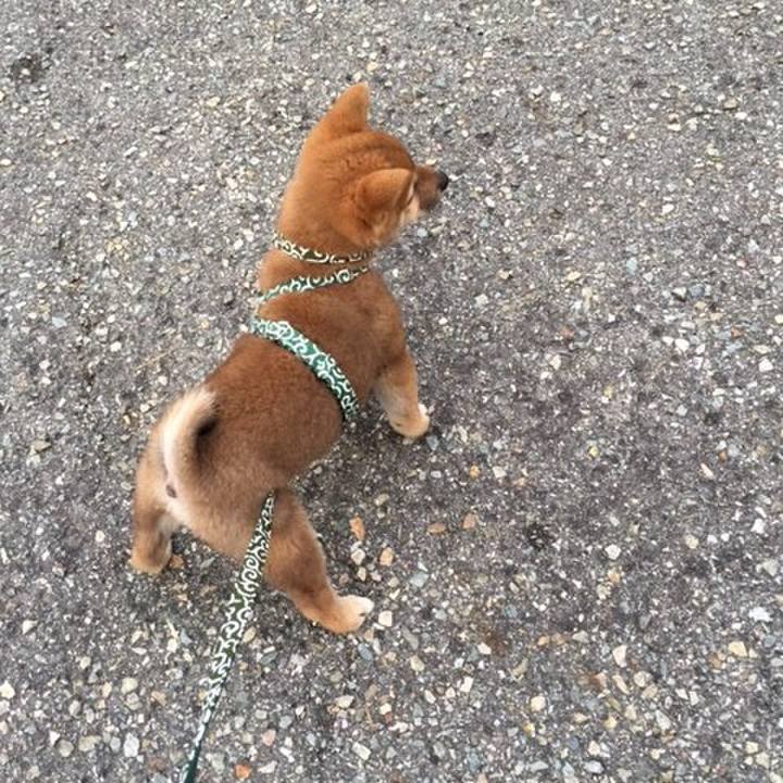 C4c59725 ea04 4337 8f03 1ebdb190cc5b