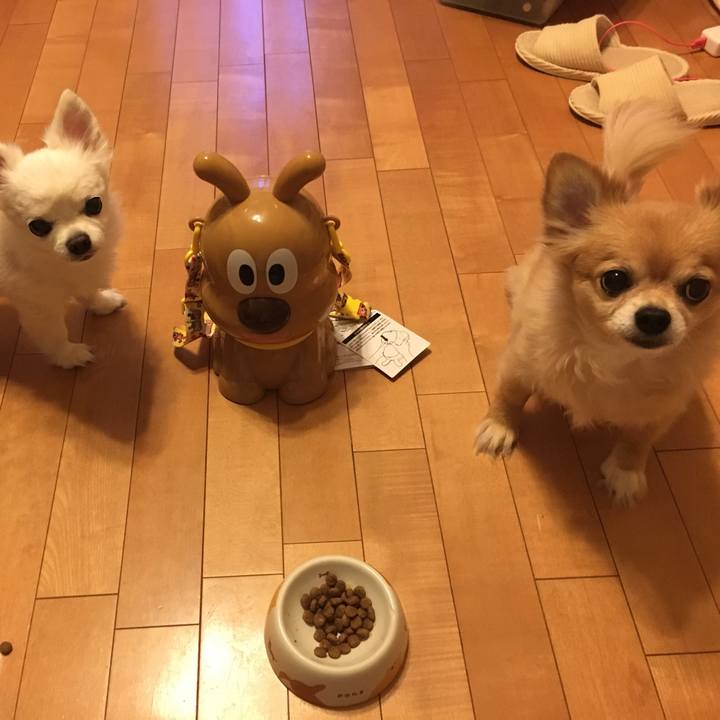 C4c5e4e6 561a 4dd6 839a 23cd4c0e825b