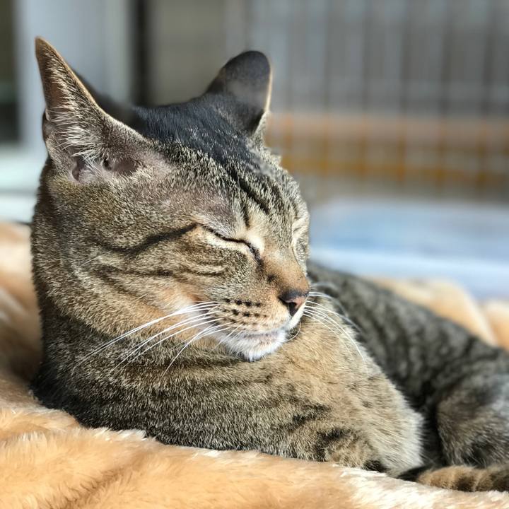 C4c5edfc 0695 46ae 9de5 0de96c325707