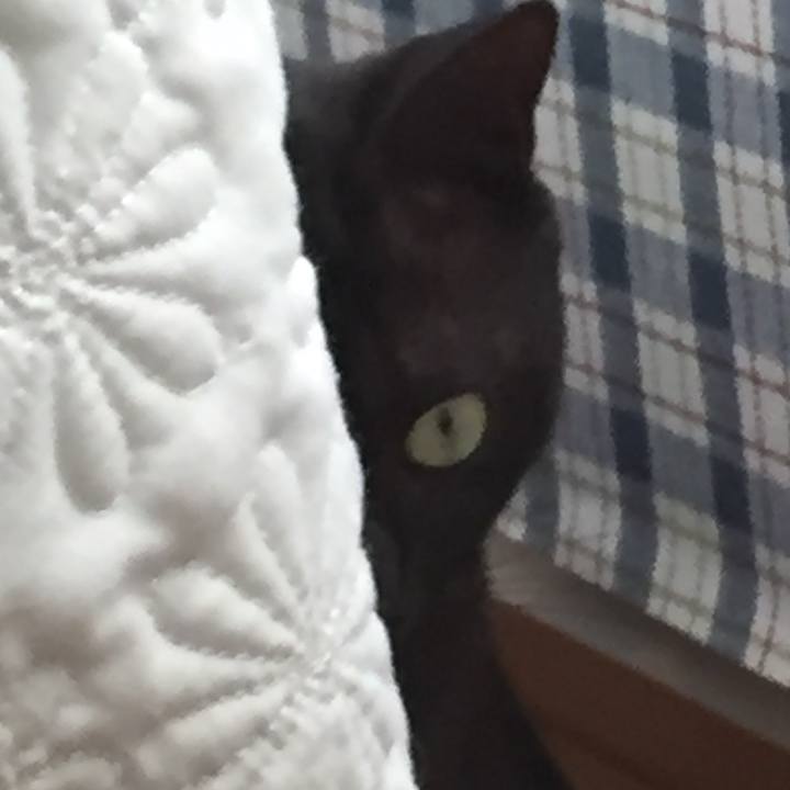 C4c63c6f df51 4e14 890e 46ec30b59afe