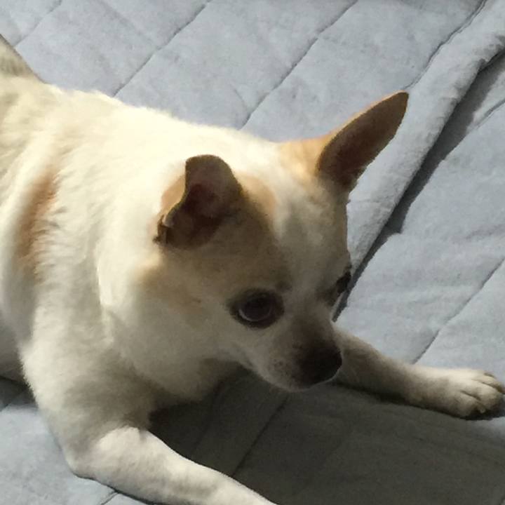 C4c63ed4 c485 4f38 897b 5fb7258e5367