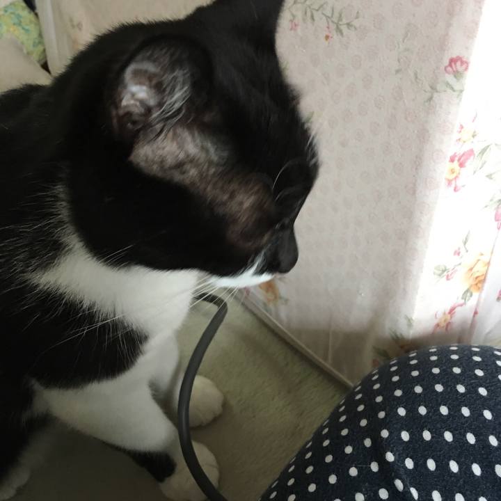 C4c7371d 6586 4b0e a2ef 5520b5e8f19f