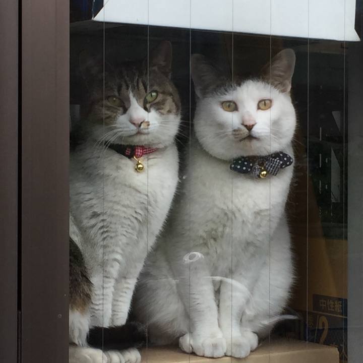 C4c75d71 cb0c 4360 a348 d989117de606