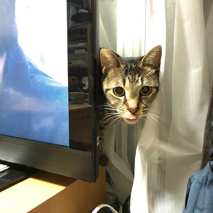 C4c76390 e196 4c34 b70a 255ac38ac814