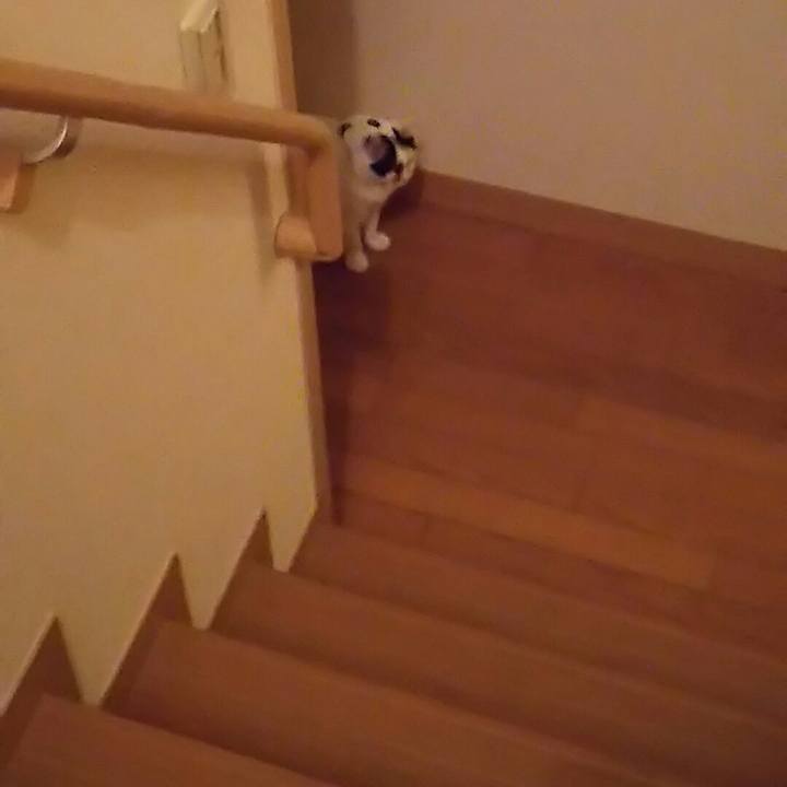 C4c7833c 5fe6 4b98 8e22 6989ddd9889c