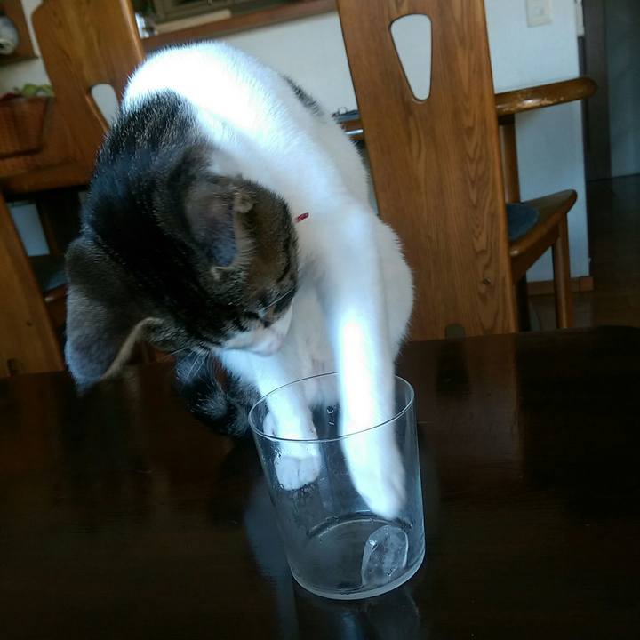 C4c8b72e c8ff 45b6 aba1 04b211583ae9