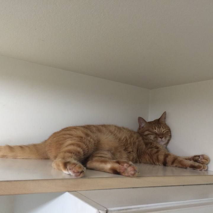 C4c8f2f7 98ea 4d08 a791 eb40619d8a76