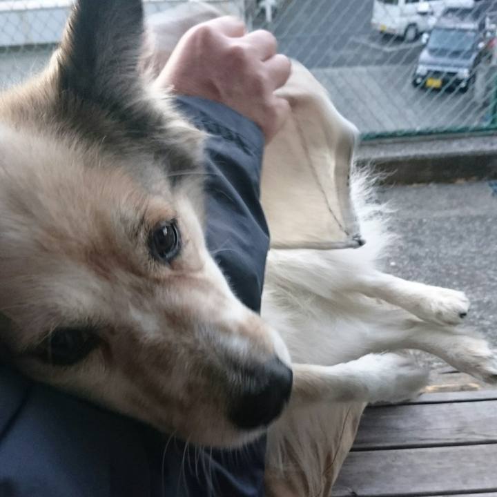 C4caad71 43ad 4e89 be7b 1471e7ea0553