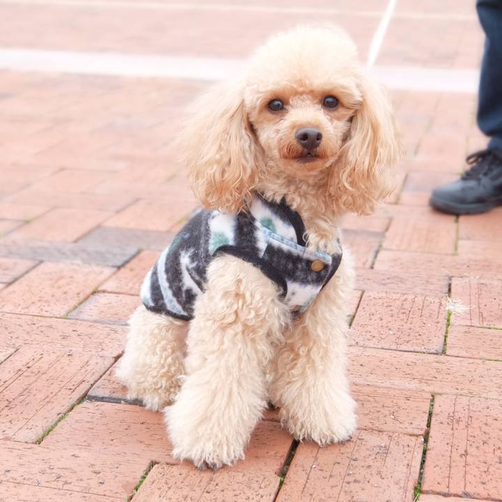 C4cb9656 c5c9 4c4f b86e b7ceabe0ec3e