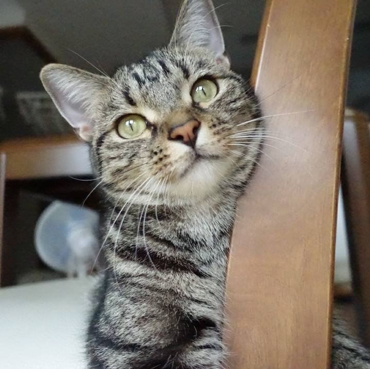 C4cba62c d986 42ba 982e c18143aefd5f