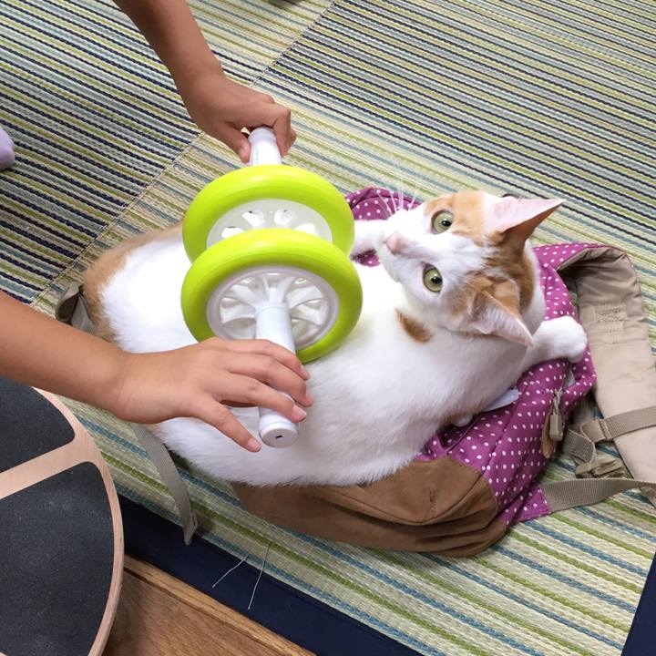 C4cc4112 b412 4d6e afb7 9056ee4abda6