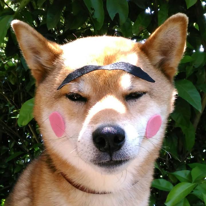 C4cc6765 fe24 484d a555 97ab05036f2f