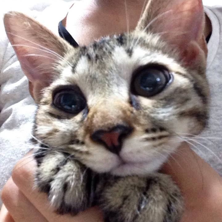 C4cd653b e741 4b16 8542 abe4e6805fd7