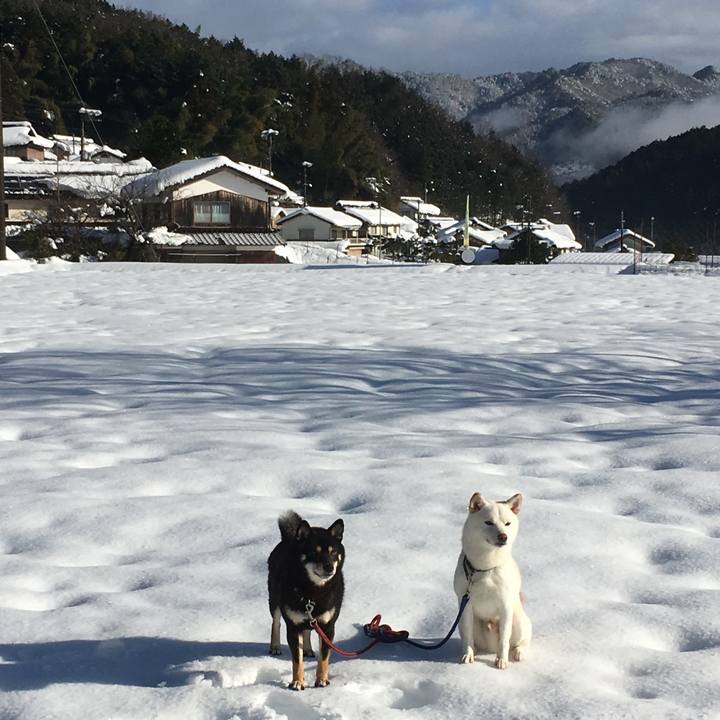 C4ce36ac 1ec9 4076 b23b 4a96dc86e602