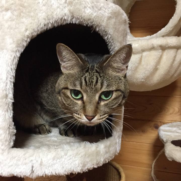 C4ceac78 3841 4c4a b55d fdc44dcd1fa9