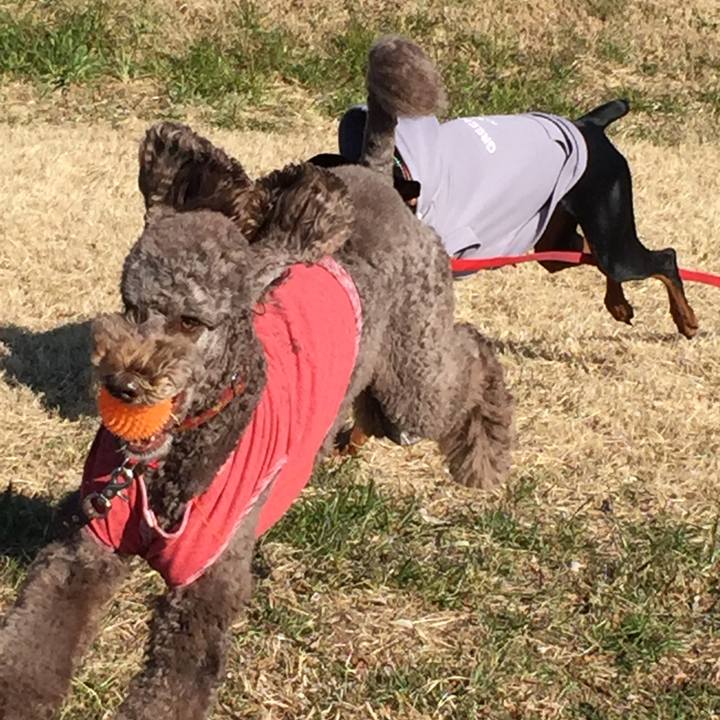 C4cefd6e e8d6 49d5 bcaf 9277902d5751